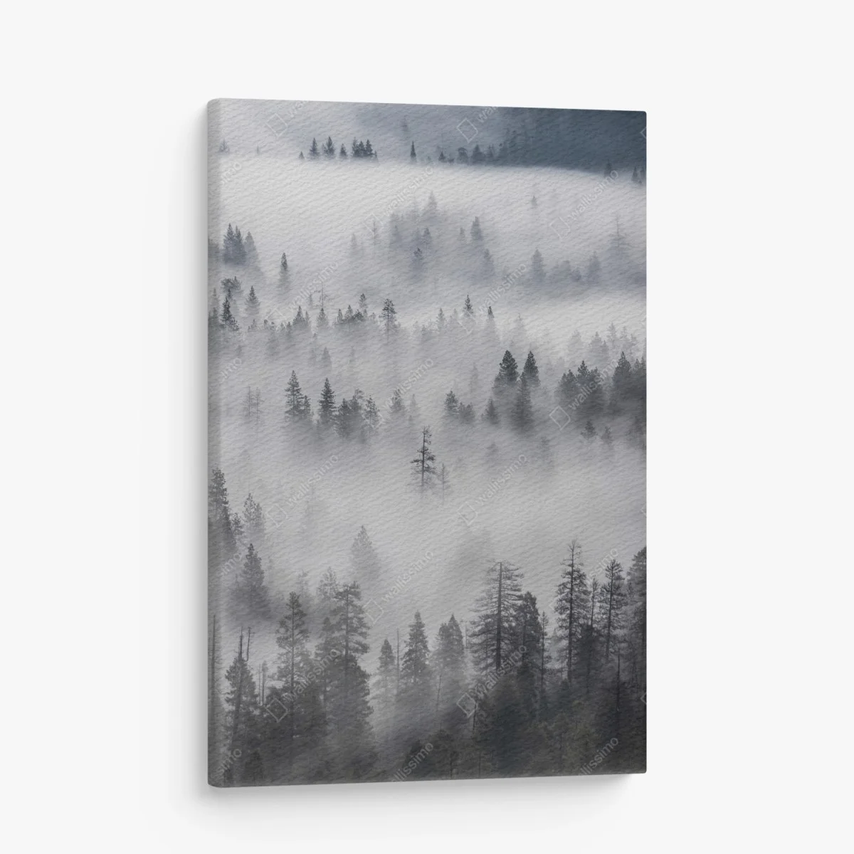 Canvas print mist-shrouded pine forest ⁕ Wallissimo® Canvas print mist-shrouded pine forest ⁕ Wallissimo®