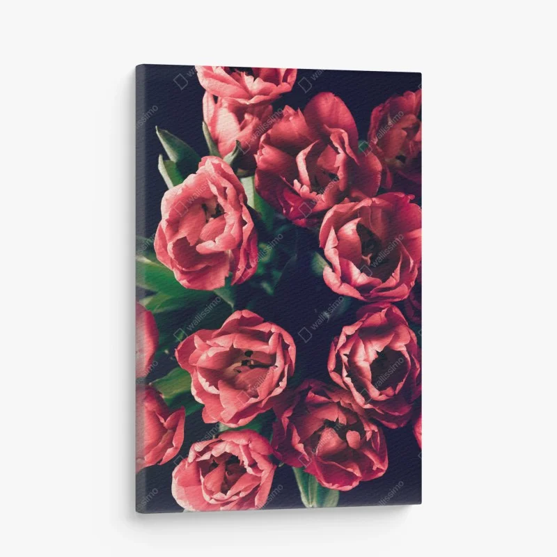 Canvas print moody pink tulip bouquet