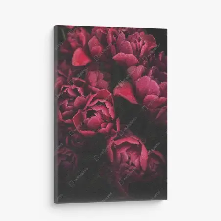 Canvas print deep crimson blooms with raindrops • Wallissimo®