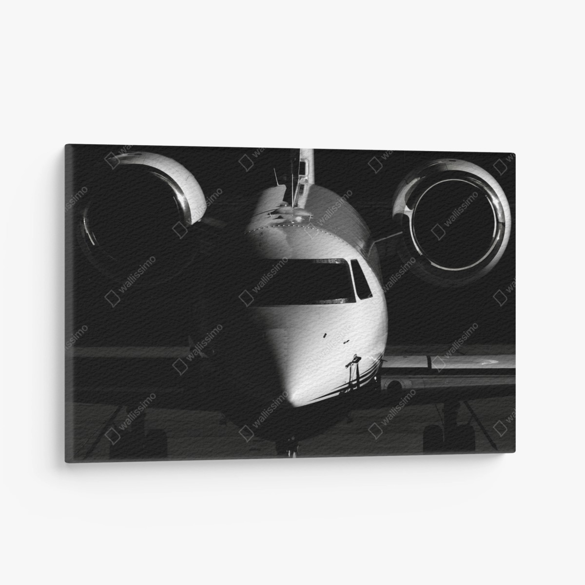 Canvas print monochrome private jet front view • Wallissimo®