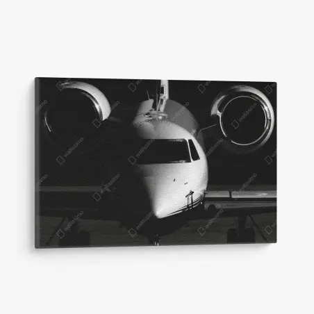 Canvas print monochrome private jet front view • Wallissimo®