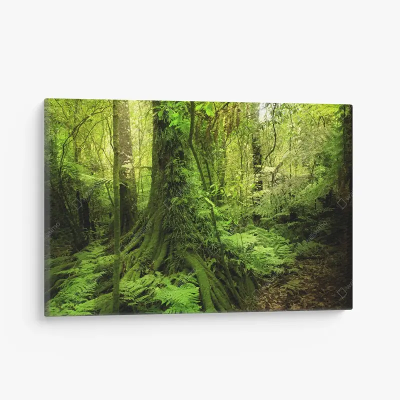 Canvas print lush tropical jungle greenery