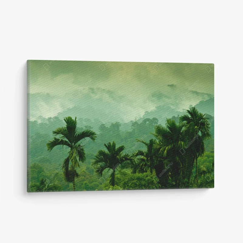 Canvas print misty tropical jungle landscape