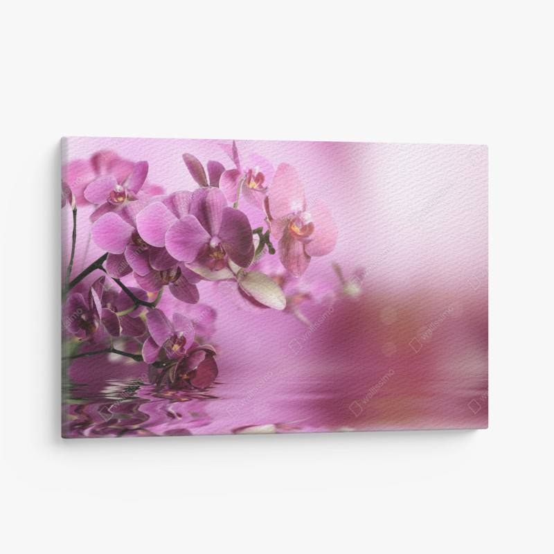 Canvas print pink orchid reflections