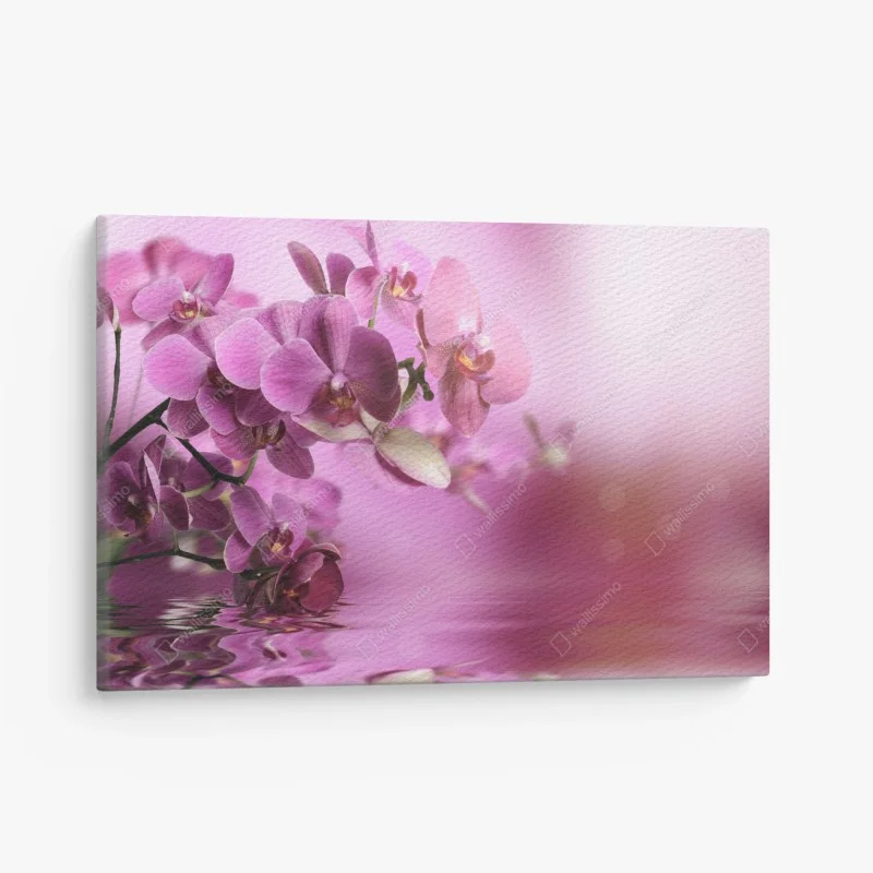 Canvas print pink orchid reflections