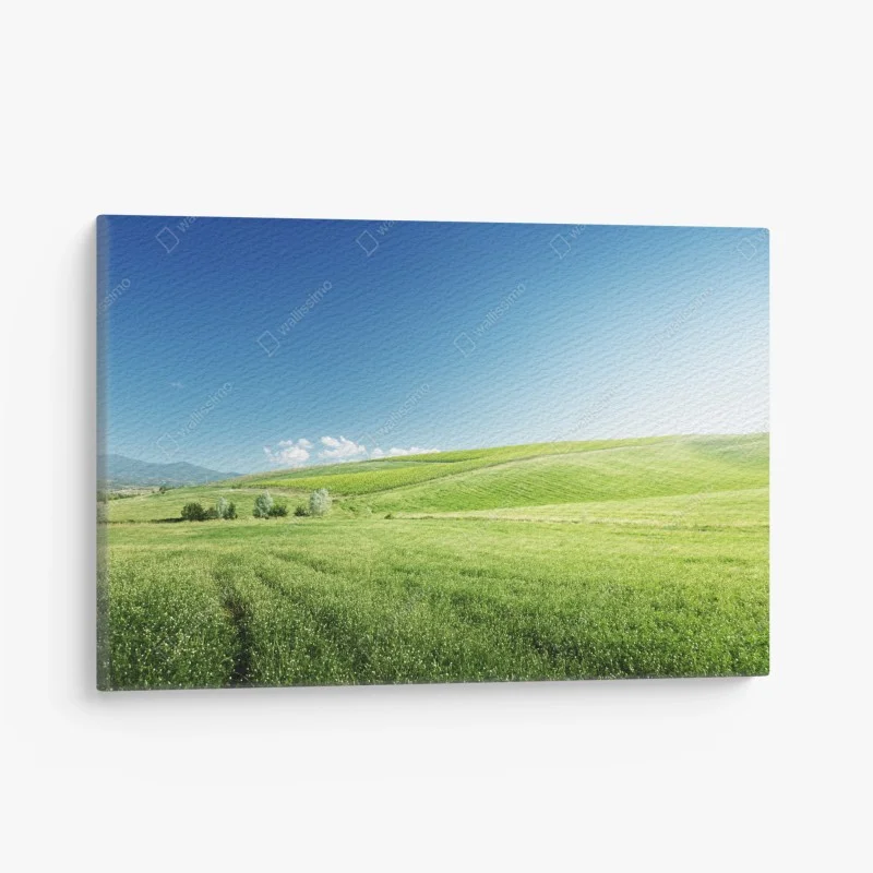 Canvas print tranquil green meadow landscape