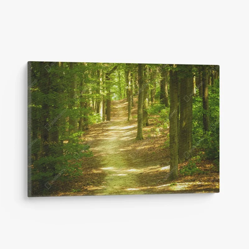 Canvas print • Wallissimo®
