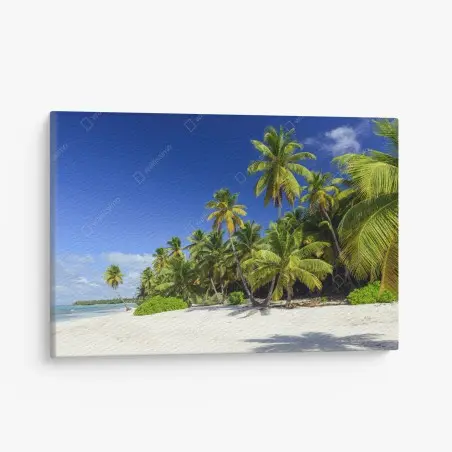 Canvas print serene Punta Cana tropical beach • Wallissimo®