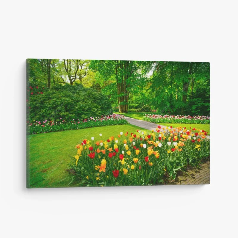 Canvas print vibrant tulip garden in Keukenhof