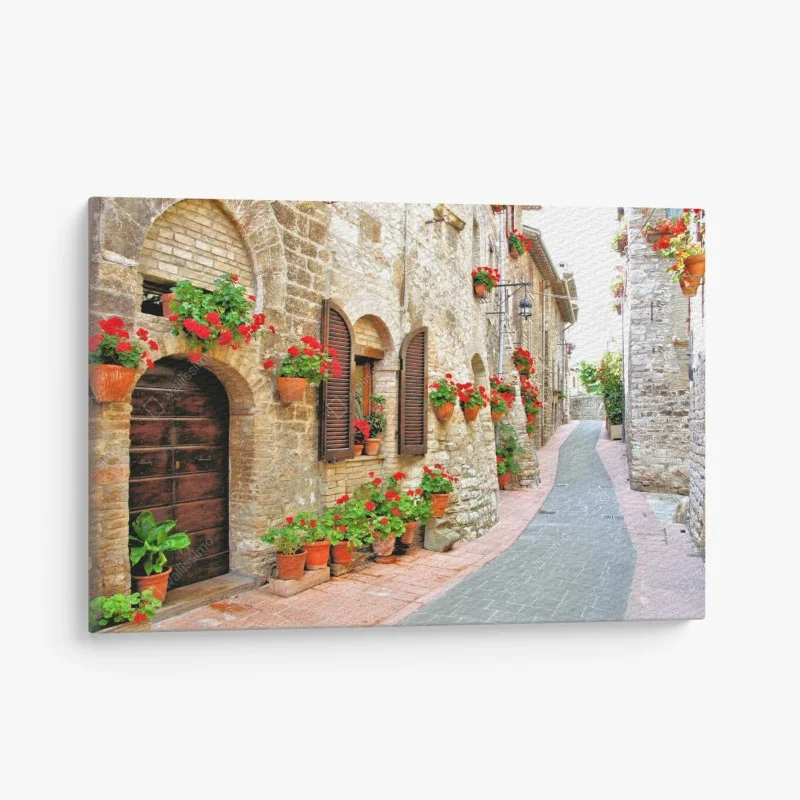 Canvas print sunlit stone alley with red geraniums
