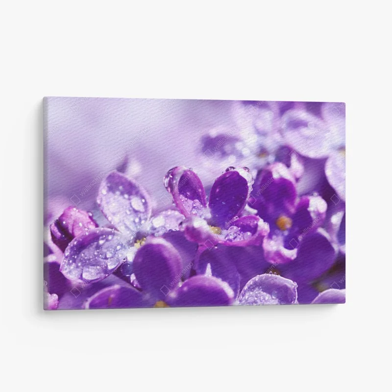 Canvas print purple lilac blossom with dewdrops