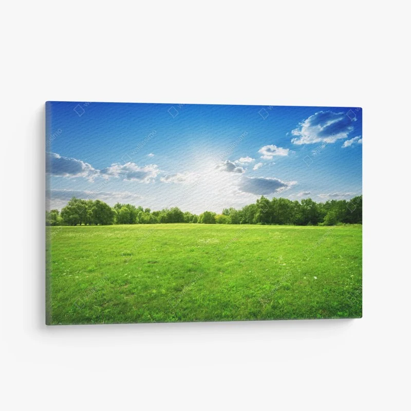 Canvas print sunlit green meadow landscape