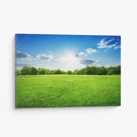 Canvas print sunlit green meadow landscape • Wallissimo®