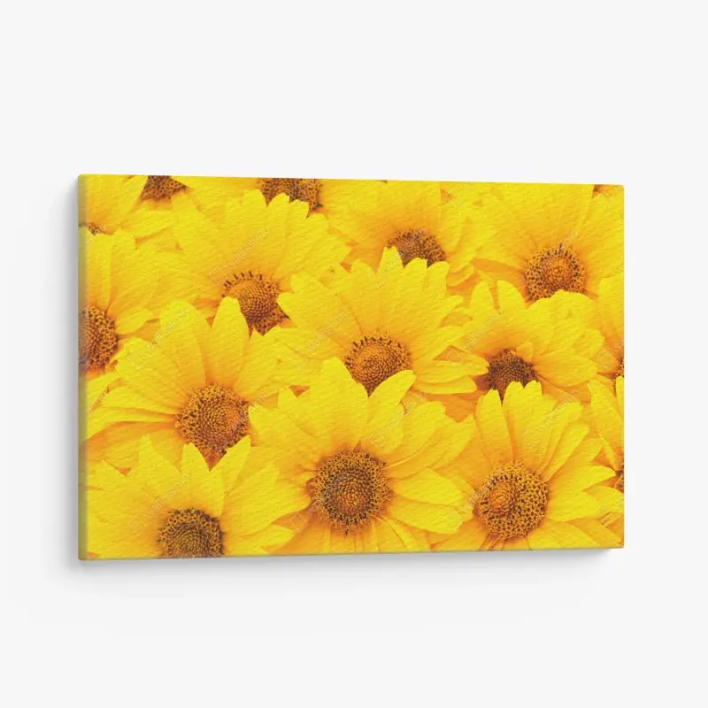 Canvas print • Wallissimo®