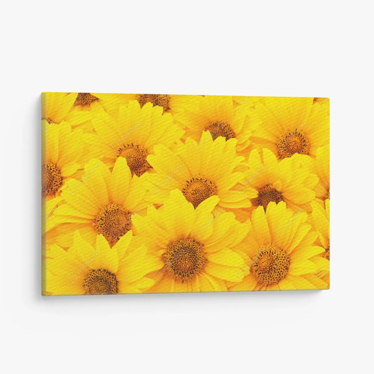 Canvas print vibrant yellow sunflower close-up • Wallissimo®