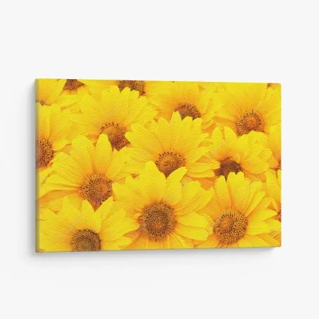 Canvas print vibrant yellow sunflower close-up • Wallissimo®