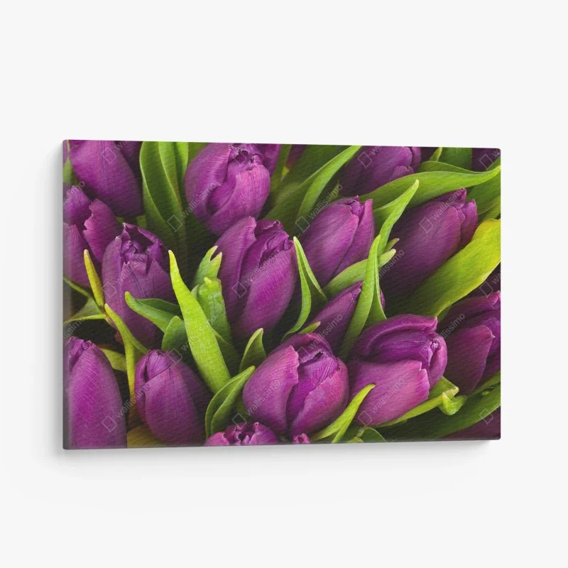 Canvas print purple tulip bouquet close-up