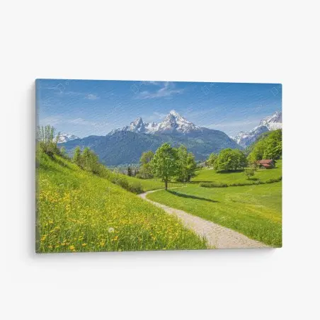 Canvas print alpine spring meadow with snow-capped peaks • Wallissimo®