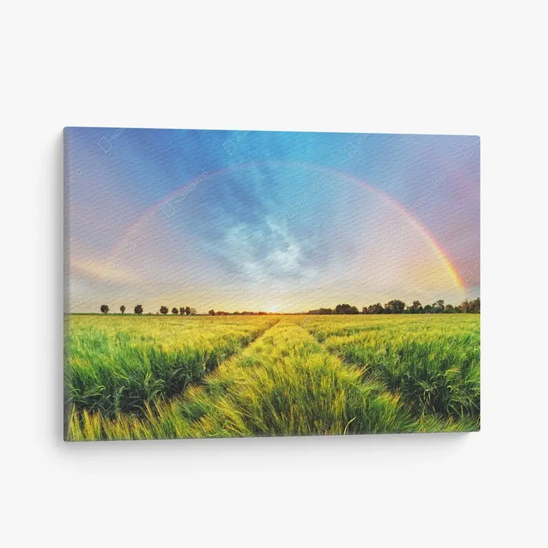 Canvas print rainbow over golden wheat field at sunset