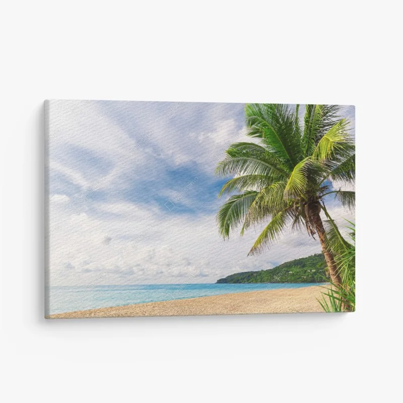 Canvas print tropical beach in Phuket with palm tree