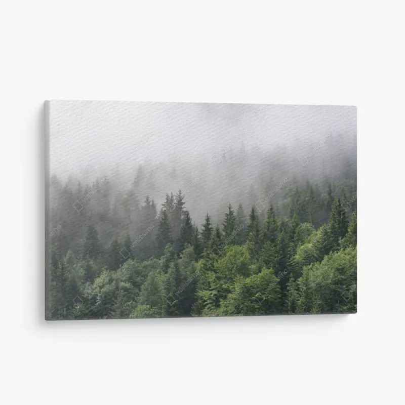 Canvas print • Wallissimo®