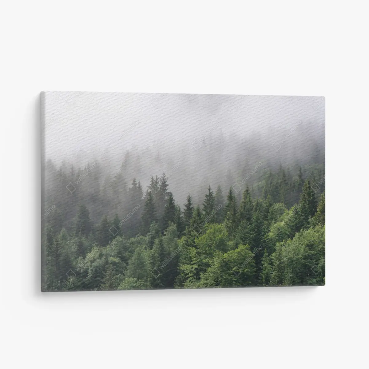 Canvas print misty evergreen forest panorama • Wallissimo®