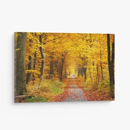Canvas print golden autumn forest pathway • Wallissimo®