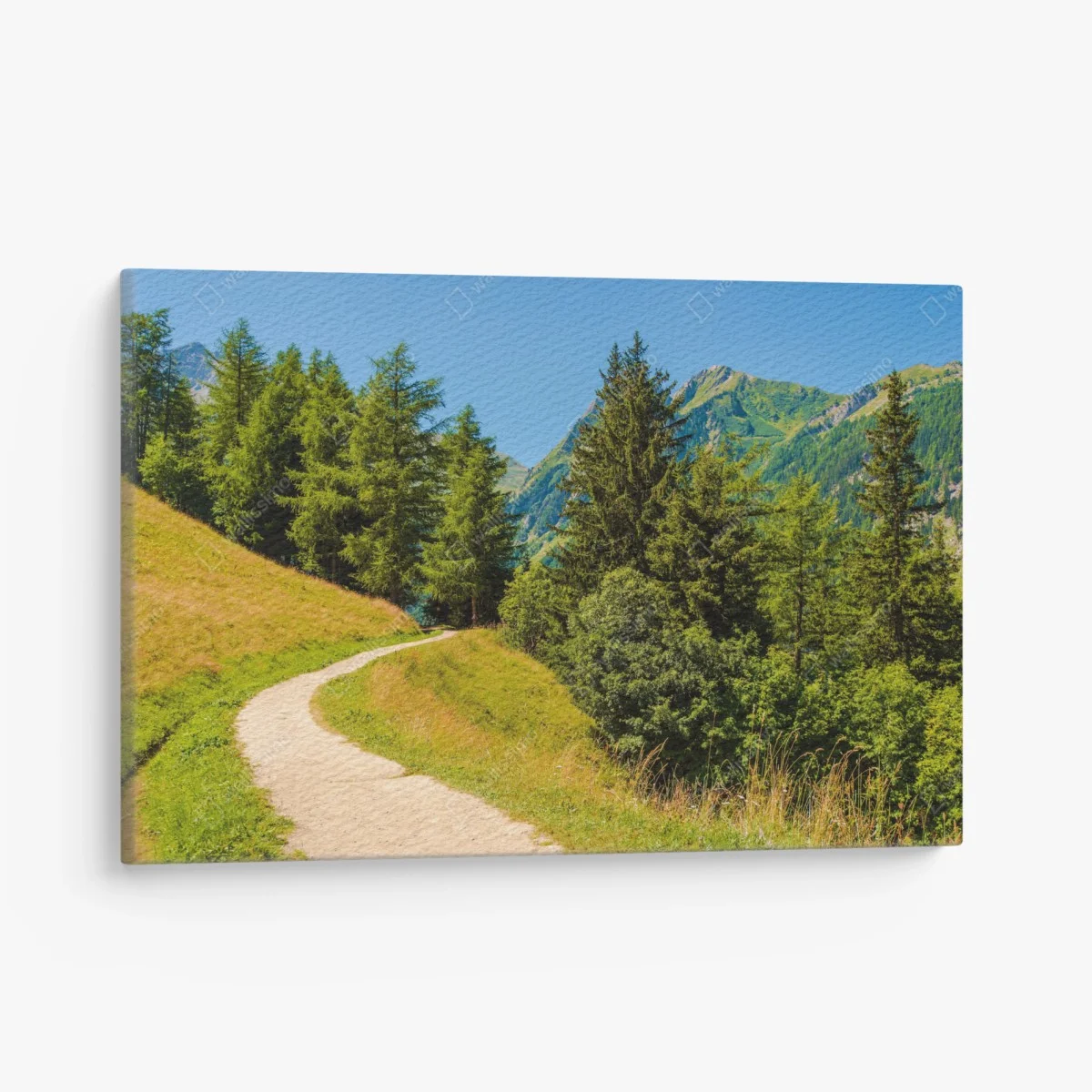 Canvas print Swiss Alps summer mountain trail ⁕ Wallissimo® Canvas print Swiss Alps summer mountain trail ⁕ Wallissimo®