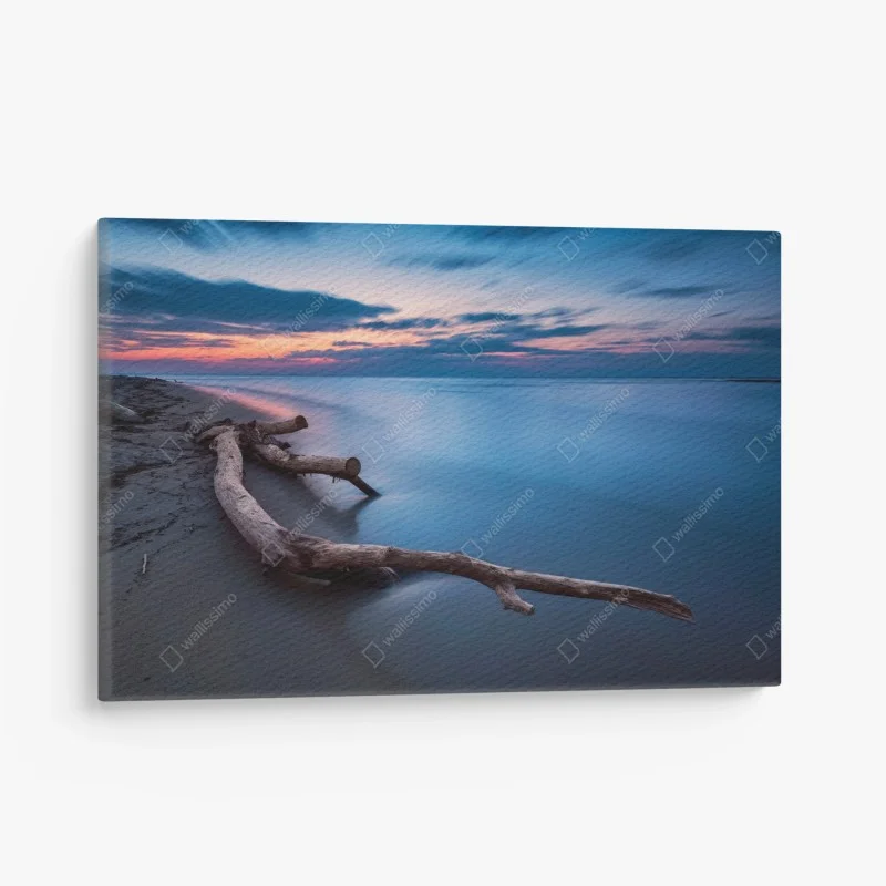 Canvas print twilight driftwood on a calm beach