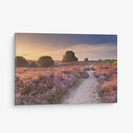 Canvas print Posbank sunrise heather path • Wallissimo®