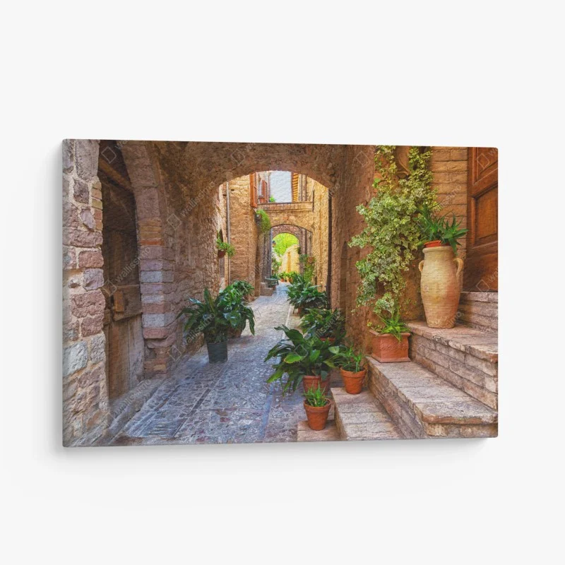 Canvas print sunlit alley with potted plants in Spello