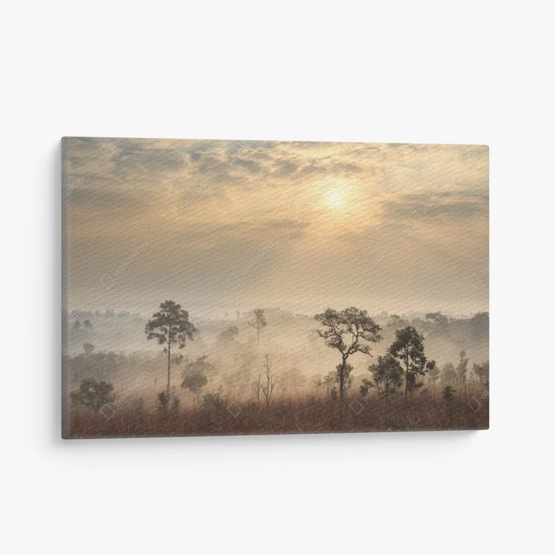 Canvas print Thailand savanna sunrise