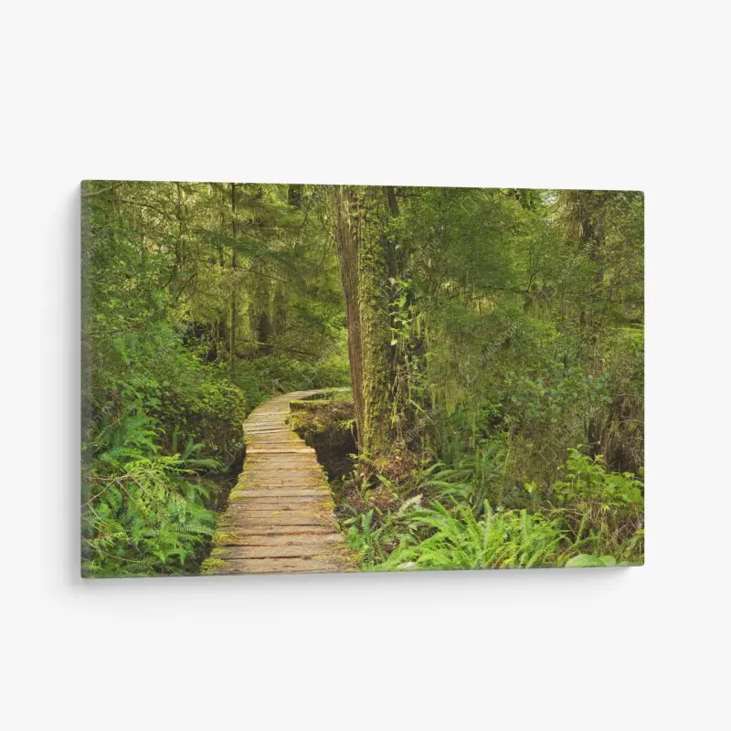 Canvas print • Wallissimo®