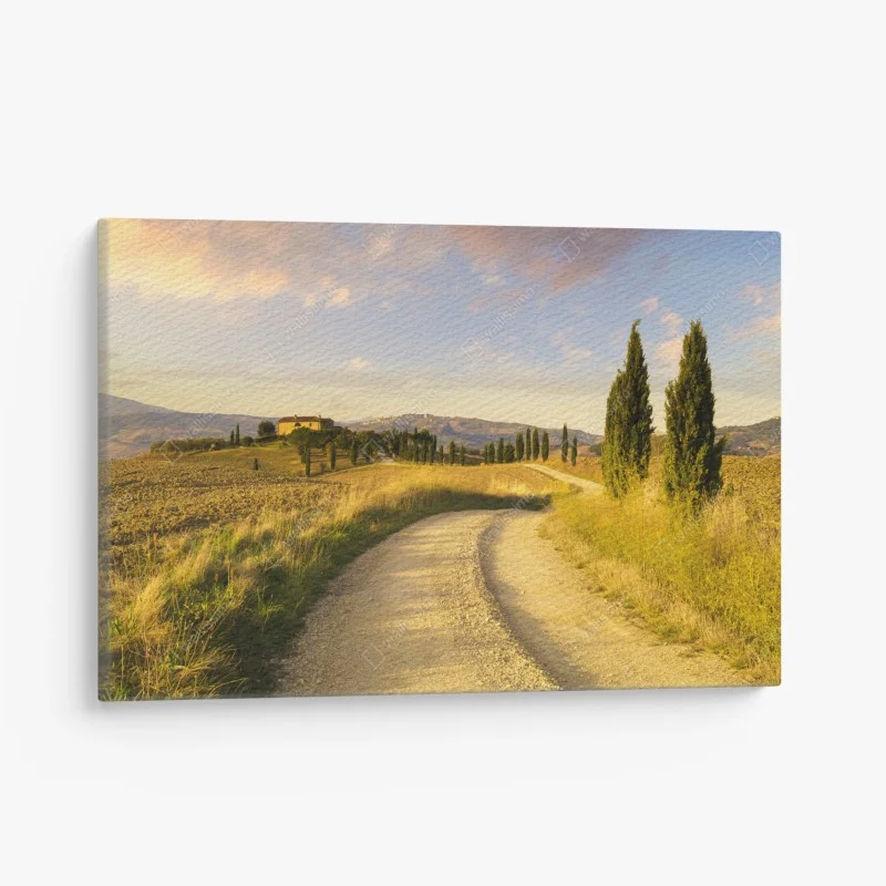 Canvas print golden country road through cypress trees