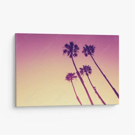 Canvas print California palms at Sunset Cliffs • Wallissimo®