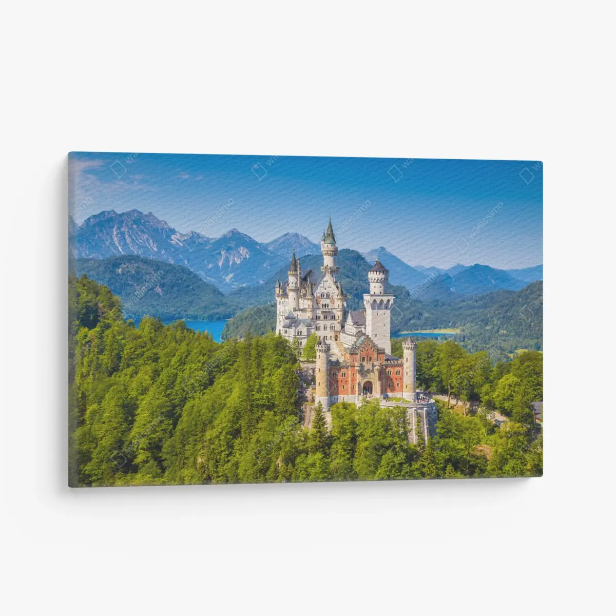 Canvas print Neuschwanstein castle in alpine landscape • Wallissimo®