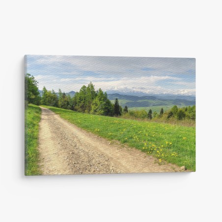 Canvas print Gorce Mountains spring trail • Wallissimo®