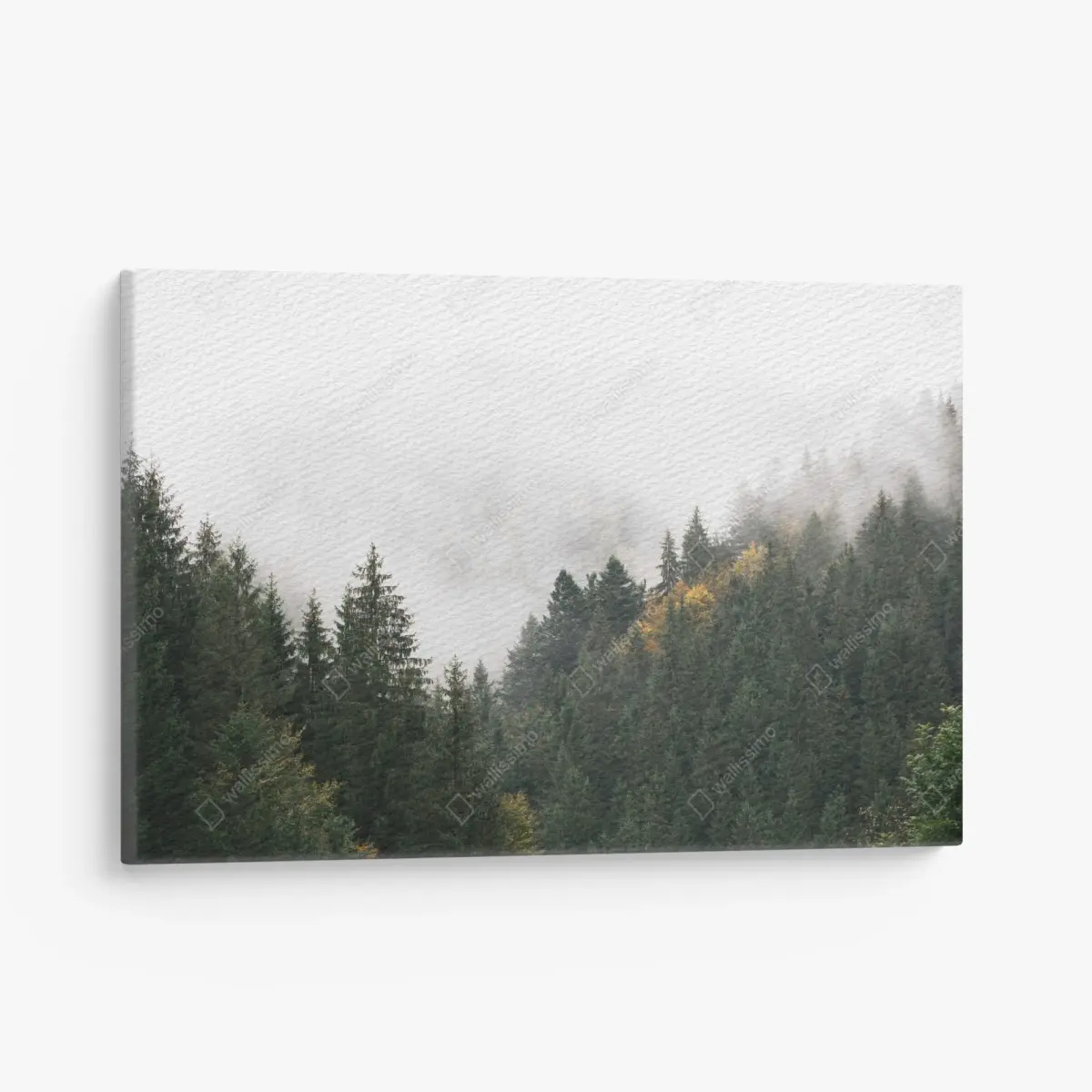 Canvas print misty mountain forest with fog • Wallissimo®