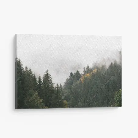 Canvas print misty mountain forest with fog • Wallissimo®