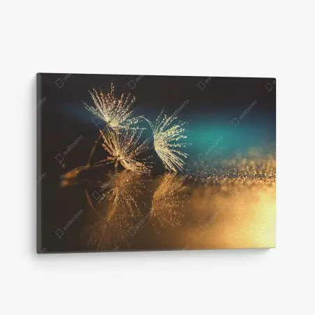 Canvas print golden dandelion seed reflection • Wallissimo®