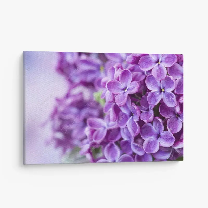 Canvas print • Wallissimo®