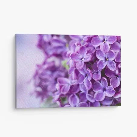 Canvas print purple lilac blossoms close-up • Wallissimo®