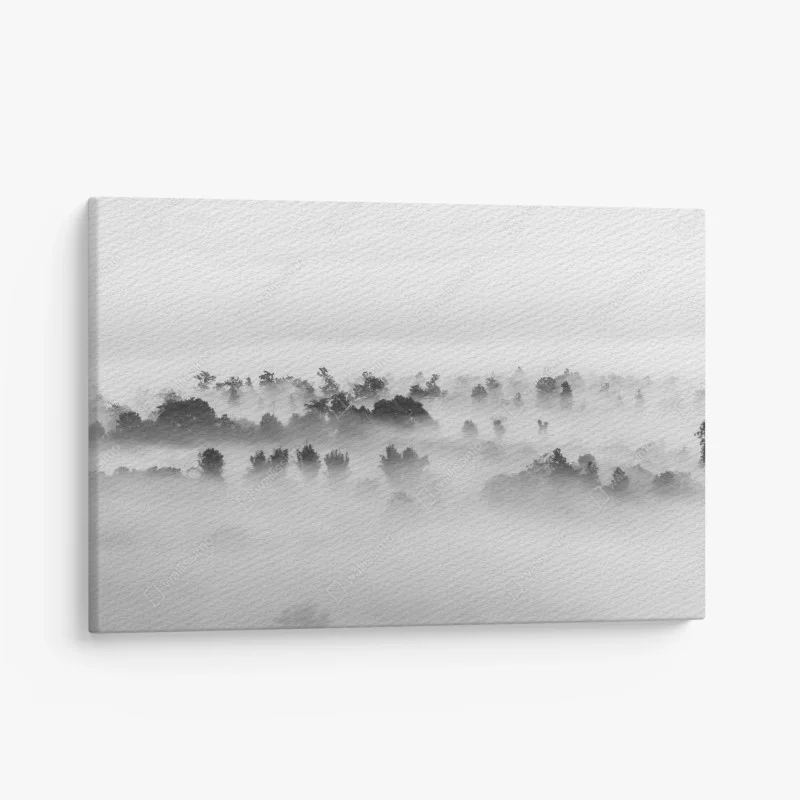 Canvas print mist-covered forest in monochrome