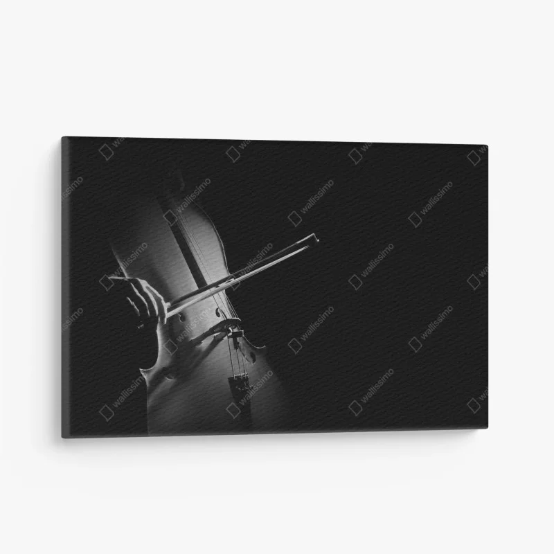 Canvas print elegant cello in monochrome