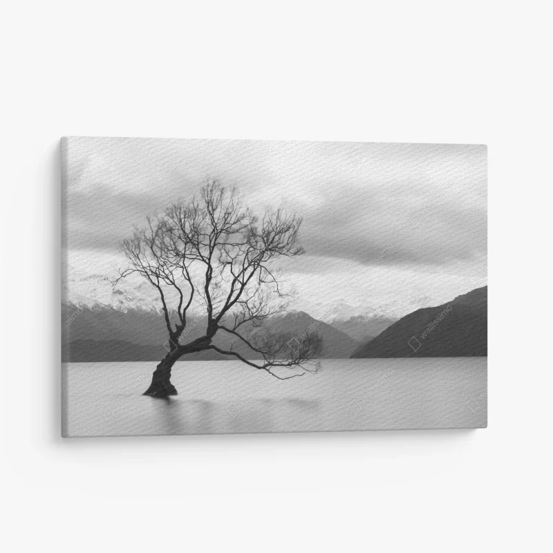 Canvas print solitary tree in a misty lake