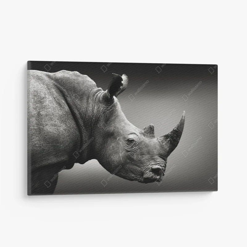 Canvas print majestic rhinoceros portrait
