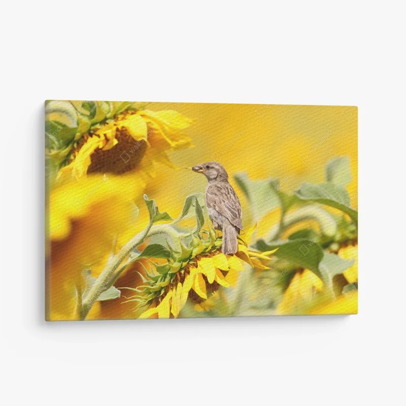 Canvas print sparrow on a sunflower