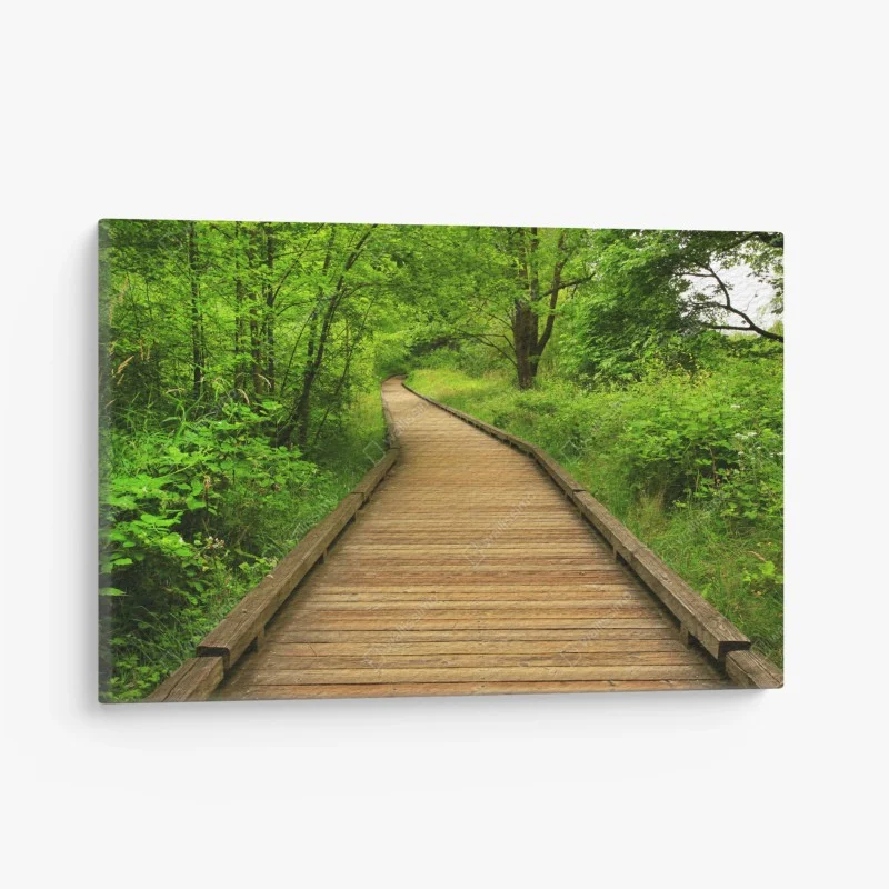 Canvas print serene forest boardwalk pathway