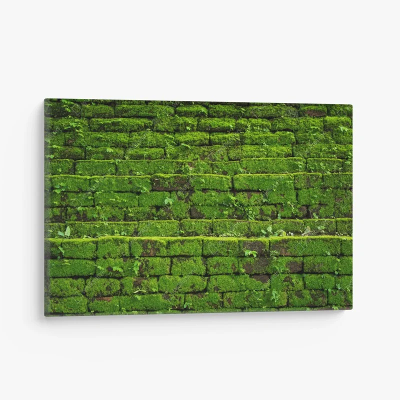 Canvas print lush moss-covered brick wall