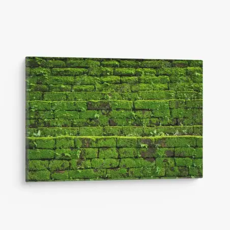 Canvas print lush moss-covered brick wall • Wallissimo®